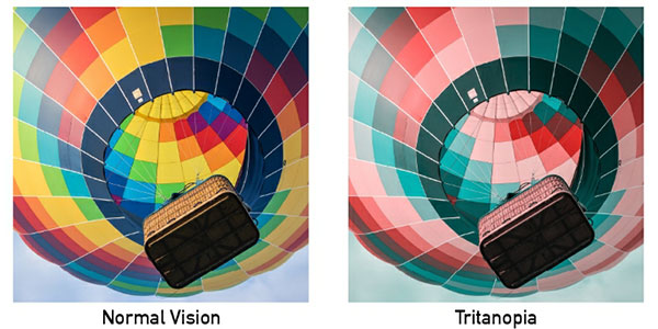 Why do a color blindness test