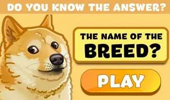 Trivia Quiz: Can You Identify Dog Breeds?