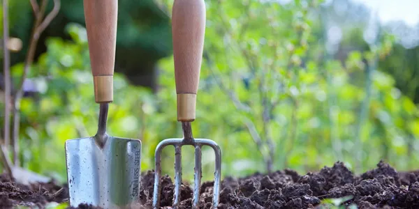 Backyard Gardening Tips That Will Benefit You For A Lifetime