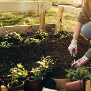 Gardening