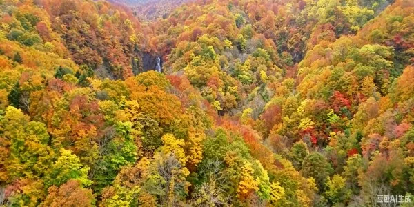 旅好きのシニアなら全問正解できる？絵のヒントで紐解く日本の国宝・世界遺産