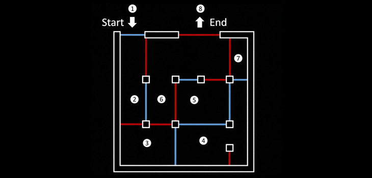 30-Second Escape Countdown: Can You Navigate This Two-Colored Maze?