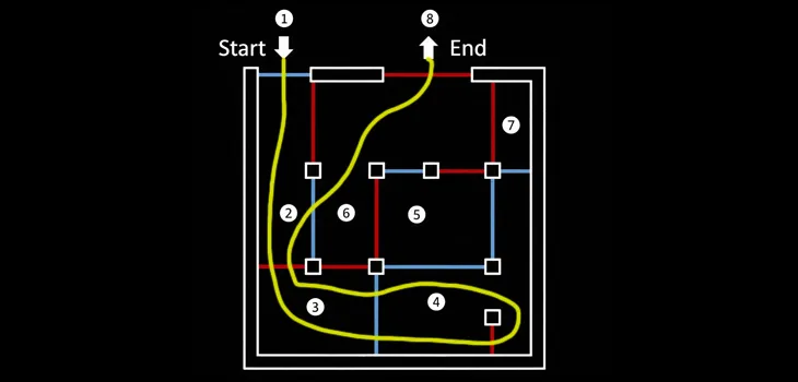 30-Second Escape Countdown: Can You Navigate This Two-Colored Maze?