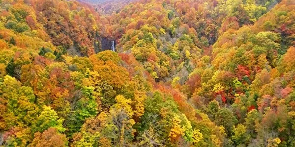 旅好きのシニアなら全問正解できる？絵のヒントで紐解く日本の国宝・世界遺産